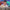 Why Streaming is Broken in 2025 — Day 1 of Building My Video Streaming Platform — UNSCENE.TV